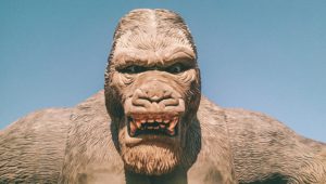 “È stata la bella che ha ucciso la bestia” (King Kong)